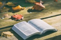 bible, book, pages, open, reading, open bible, bible reading, bible study, chapters, psalms, religion, faith, bible, bible, bible, bible, bible, book